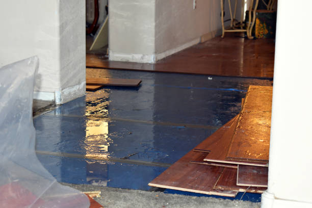 Professional Basement Flood Cleanup technician working in Rockwood, ME